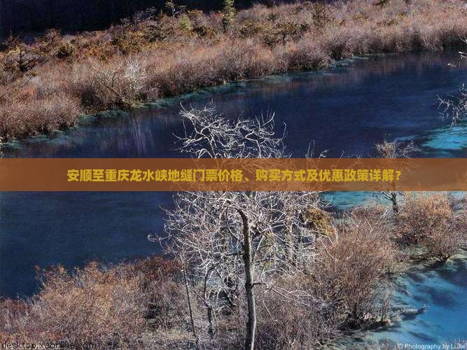 安顺至重庆龙水峡地缝门票价格、购买方式及优惠政策详解？
