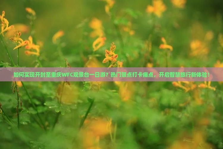 如何实现开封至重庆WFC观景台一日游？热门景点打卡痛点，开启智慧旅行新体验！