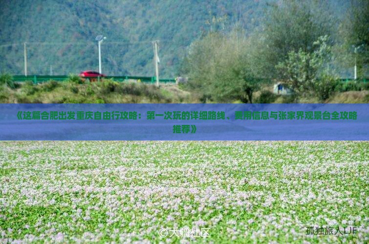 《这篇合肥出发重庆自由行攻略：第一次玩的详细路线、费用信息与张家界观景台全攻略推荐》