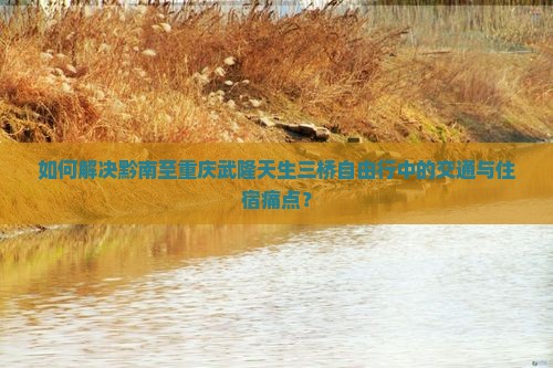 如何解决黔南至重庆武隆天生三桥自由行中的交通与住宿痛点？