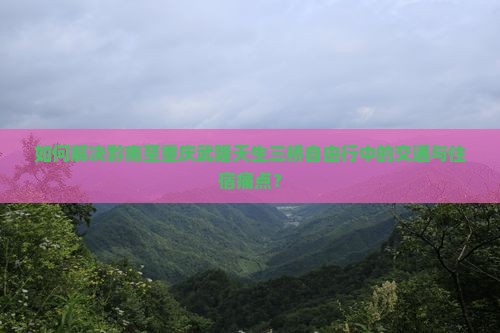 如何解决黔南至重庆武隆天生三桥自由行中的交通与住宿痛点？