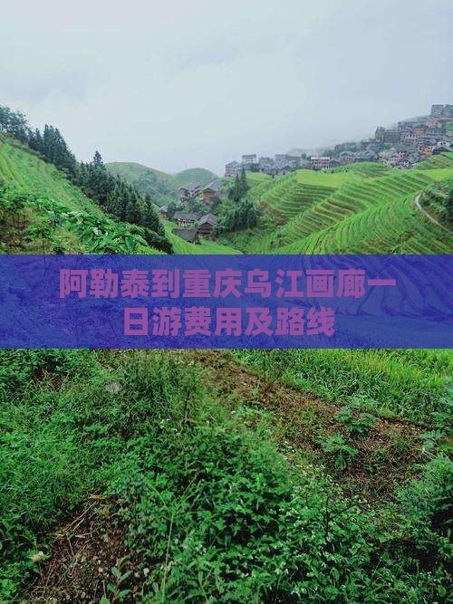 阿勒泰到重庆乌江画廊一日游费用及路线