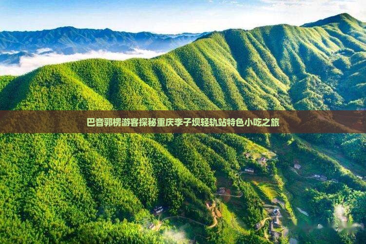 巴音郭楞游客探秘重庆李子坝轻轨站特色小吃之旅