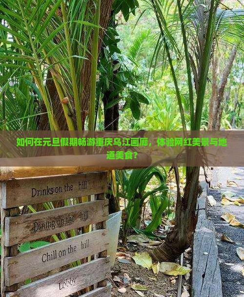 如何在元旦假期畅游重庆乌江画廊，体验网红美景与地道美食？