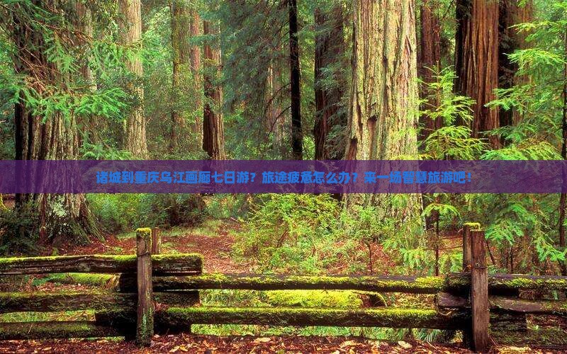 诸城到重庆乌江画廊七日游？旅途疲惫怎么办？来一场智慧旅游吧！