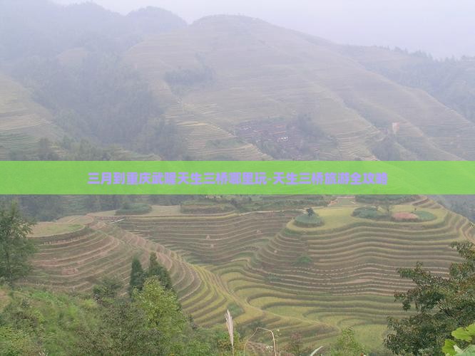 三月到重庆武隆天生三桥哪里玩-天生三桥旅游全攻略