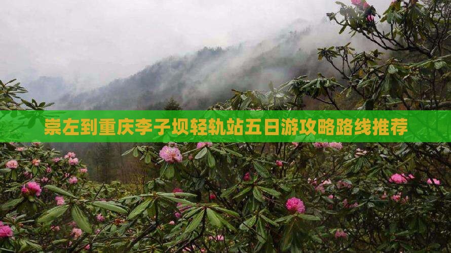 崇左到重庆李子坝轻轨站五日游攻略路线推荐