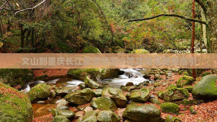 文山到重庆长江索道旅游小吃攻略及路线指引