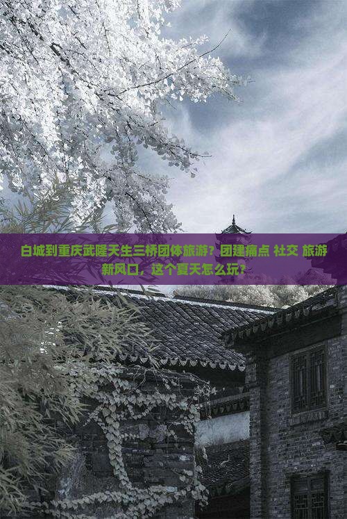 白城到重庆武隆天生三桥团体旅游？团建痛点+社交+旅游新风口，这个夏天怎么玩？