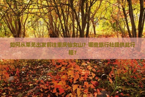 如何从莱芜出发前往重庆仙女山？哪些旅行社提供此行程？