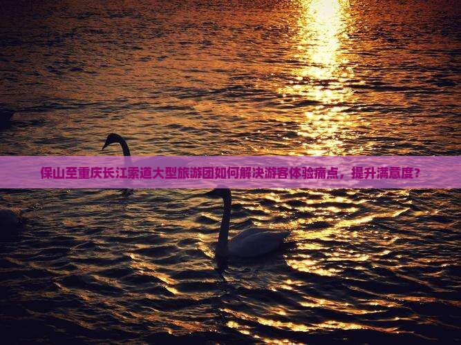 保山至重庆长江索道大型旅游团如何解决游客体验痛点，提升满意度？