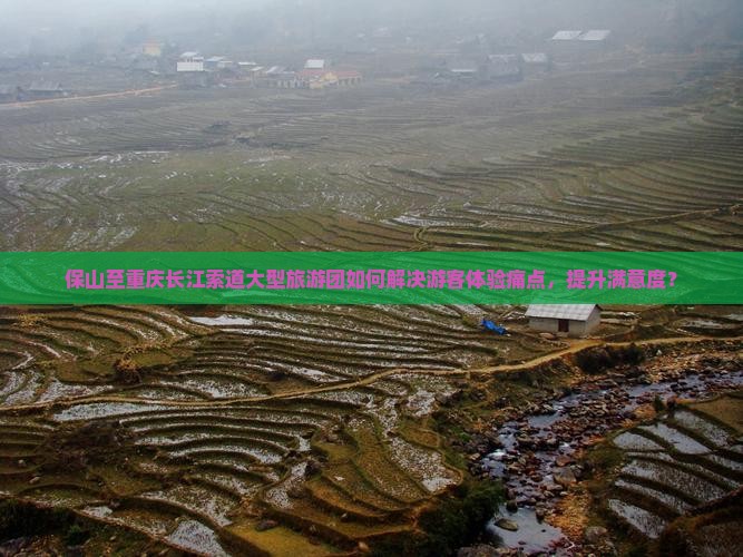 保山至重庆长江索道大型旅游团如何解决游客体验痛点，提升满意度？