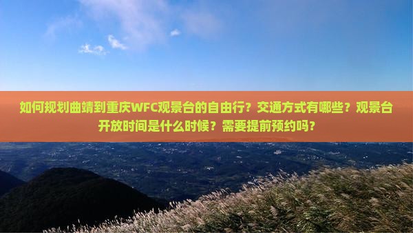 如何规划曲靖到重庆WFC观景台的自由行？交通方式有哪些？观景台开放时间是什么时候？需要提前预约吗？