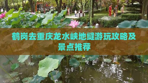 鹤岗去重庆龙水峡地缝游玩攻略及景点推荐