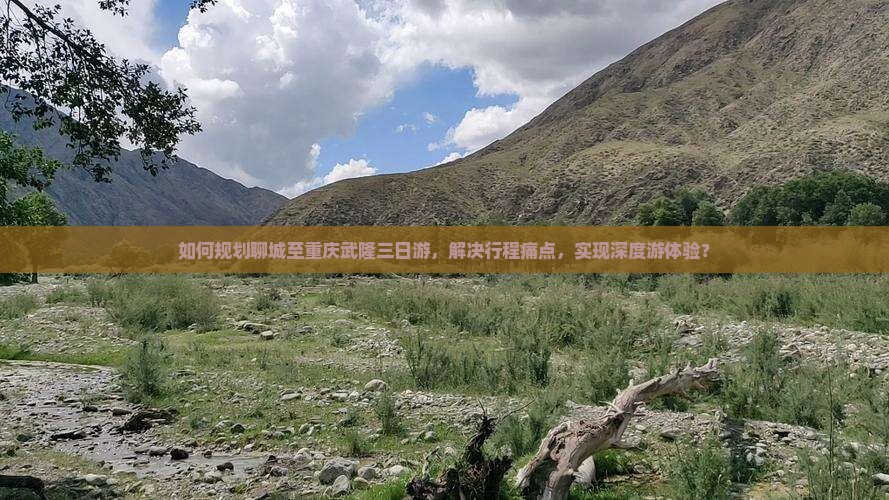 如何规划聊城至重庆武隆三日游，解决行程痛点，实现深度游体验？