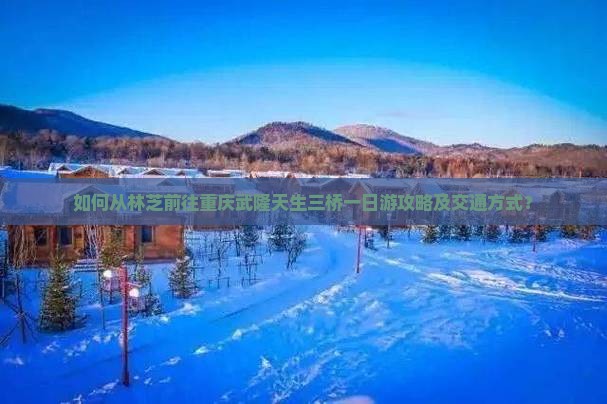 如何从林芝前往重庆武隆天生三桥一日游攻略及交通方式？
