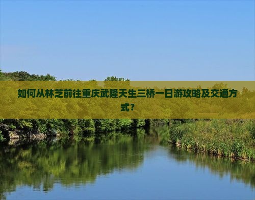 如何从林芝前往重庆武隆天生三桥一日游攻略及交通方式？