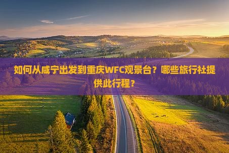 如何从咸宁出发到重庆WFC观景台？哪些旅行社提供此行程？