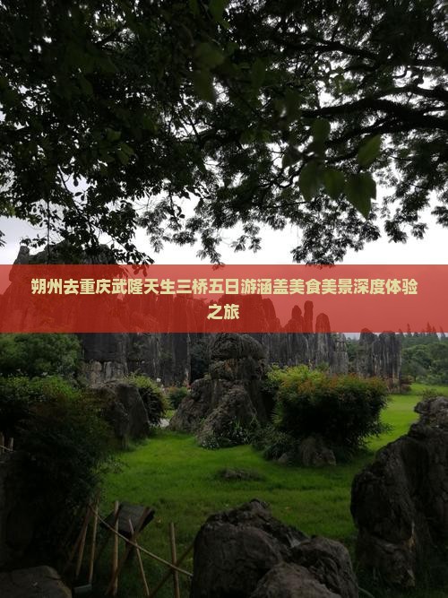 朔州去重庆武隆天生三桥五日游涵盖美食美景深度体验之旅