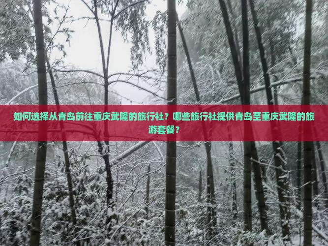 如何选择从青岛前往重庆武隆的旅行社？哪些旅行社提供青岛至重庆武隆的旅游套餐？