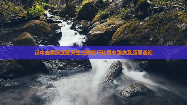 汉中去重庆武隆天生三桥旅行社乘车路线及距离查询