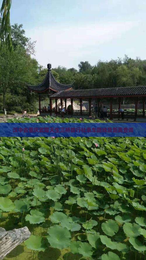 汉中去重庆武隆天生三桥旅行社乘车路线及距离查询