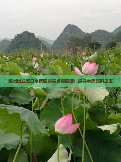 随州出发五日重庆磁器景点深度游：探寻重庆旅游之美