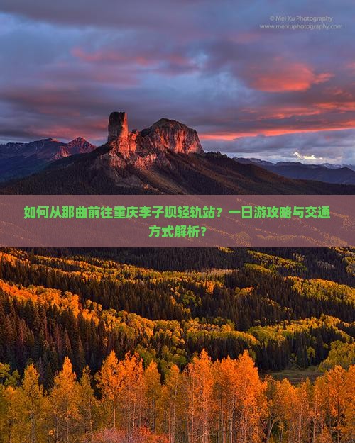 如何从那曲前往重庆李子坝轻轨站？一日游攻略与交通方式解析？