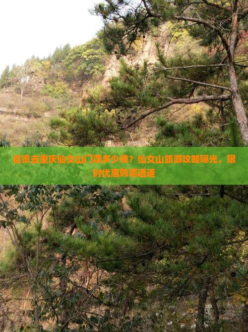 自贡去重庆仙女山门票多少钱？仙女山旅游攻略曝光，限时优惠购票通道