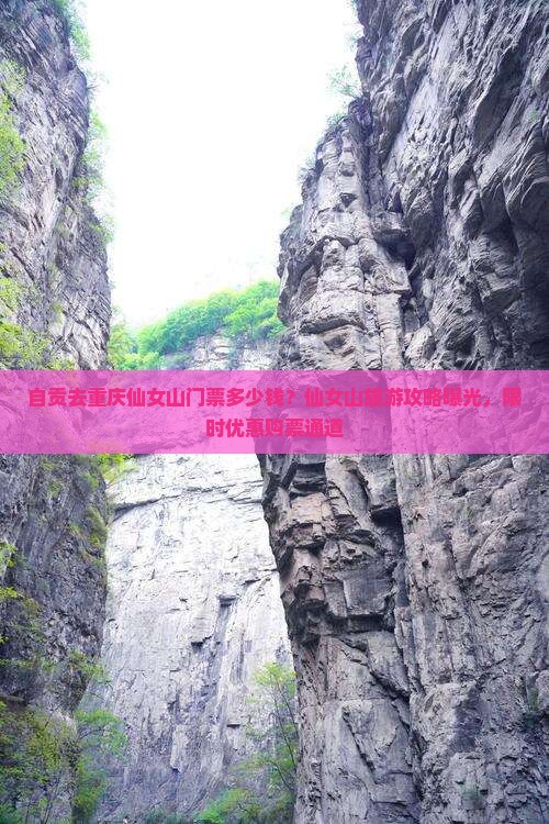 自贡去重庆仙女山门票多少钱？仙女山旅游攻略曝光，限时优惠购票通道