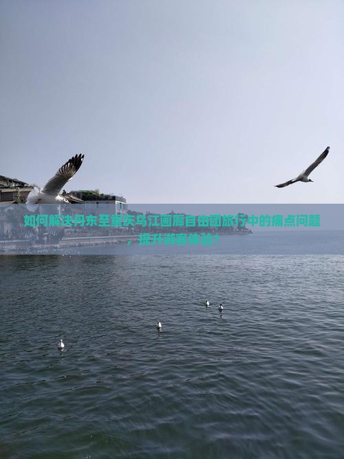 如何解决丹东至重庆乌江画廊自由团旅行中的痛点问题，提升游客体验？
