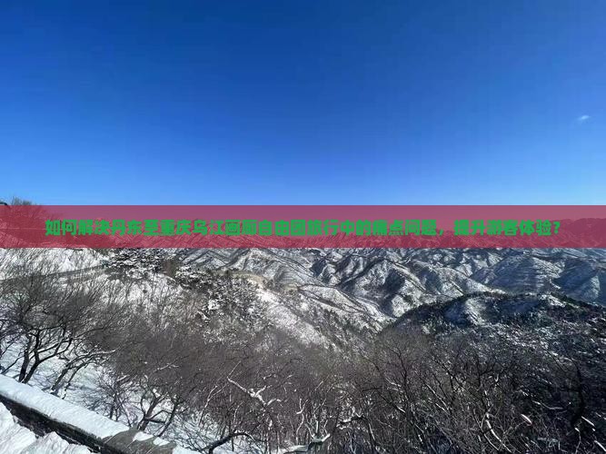 如何解决丹东至重庆乌江画廊自由团旅行中的痛点问题，提升游客体验？
