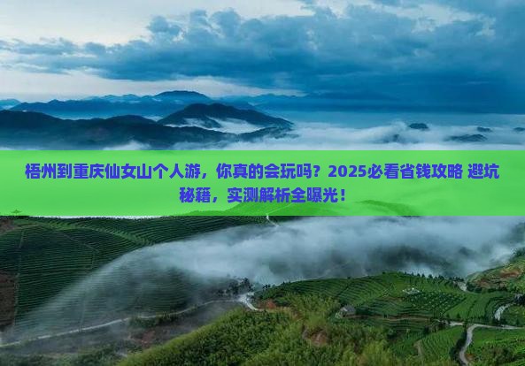梧州到重庆仙女山个人游