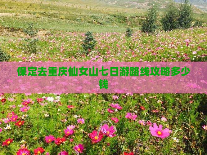 保定去重庆仙女山七日游