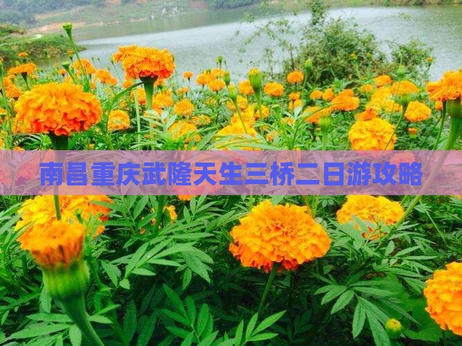南昌到重庆武隆天生三桥二日游