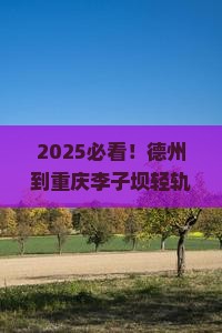 德州到重庆李子坝轻轨站门票