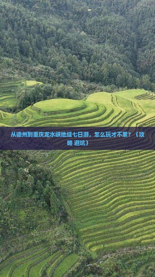 德州去重庆龙水峡地缝七日游