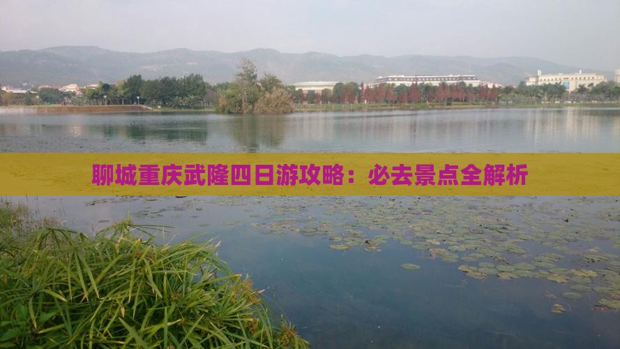聊城去重庆武隆四日游