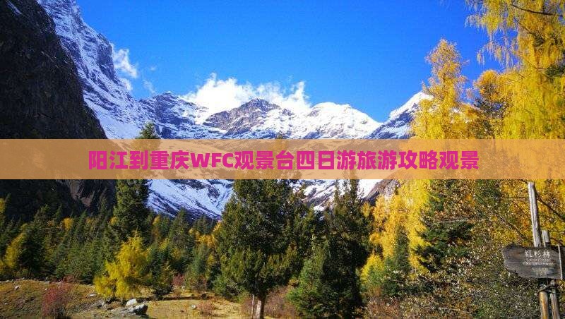 阳江到重庆wfc观景台四日游