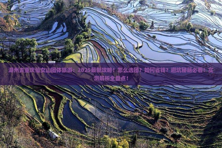 湖州去重庆仙女山团体旅游