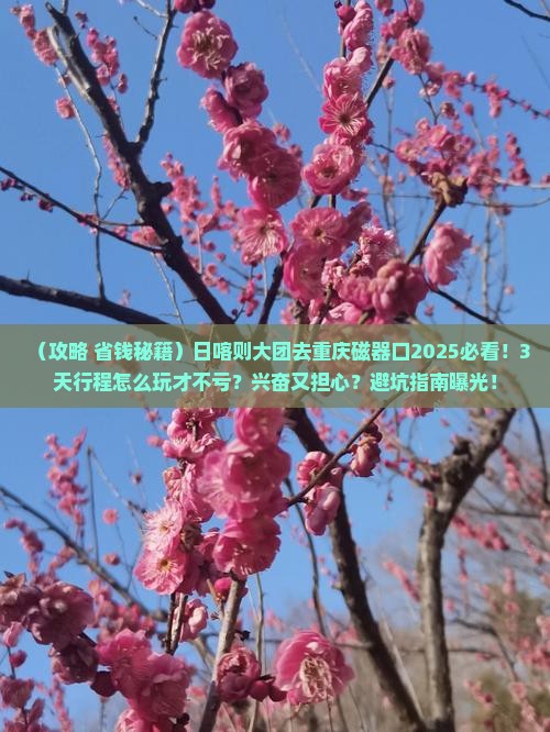 日喀则去重庆磁器口大型旅游团