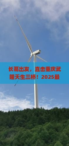 长葛去重庆武隆天生三桥三日游