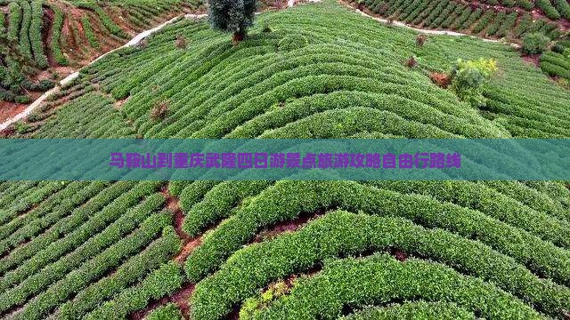 马鞍山去重庆武隆四日游