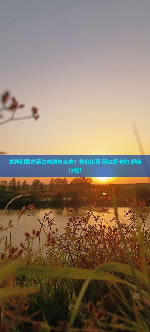 龙岩到重庆两江夜游旅行社
