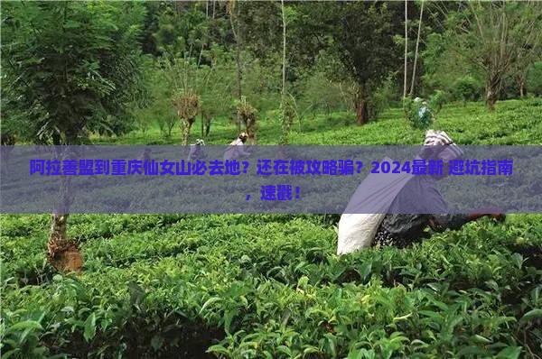 阿拉善盟到重庆仙女山必去地