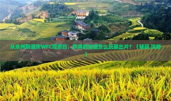 永州到重庆wfc观景台自由行