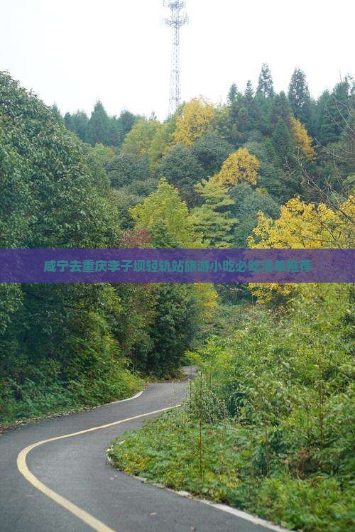 咸宁去重庆李子坝轻轨站旅游小吃