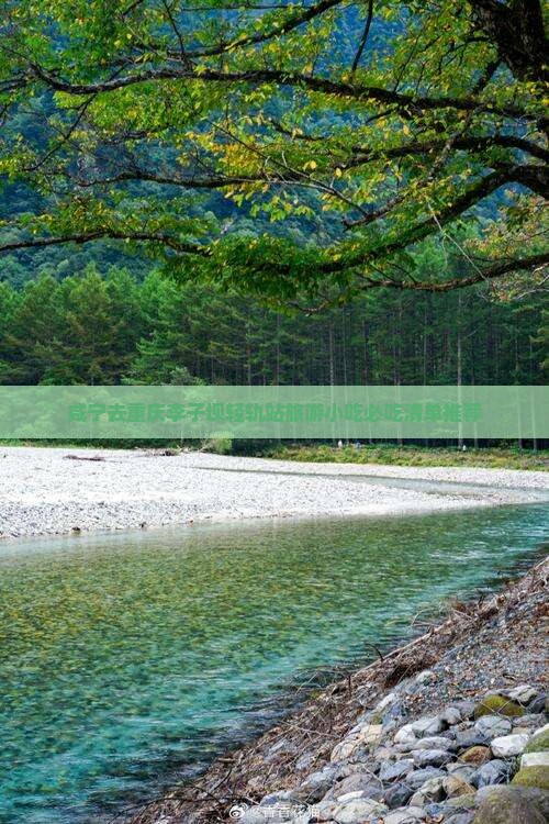 咸宁去重庆李子坝轻轨站旅游小吃