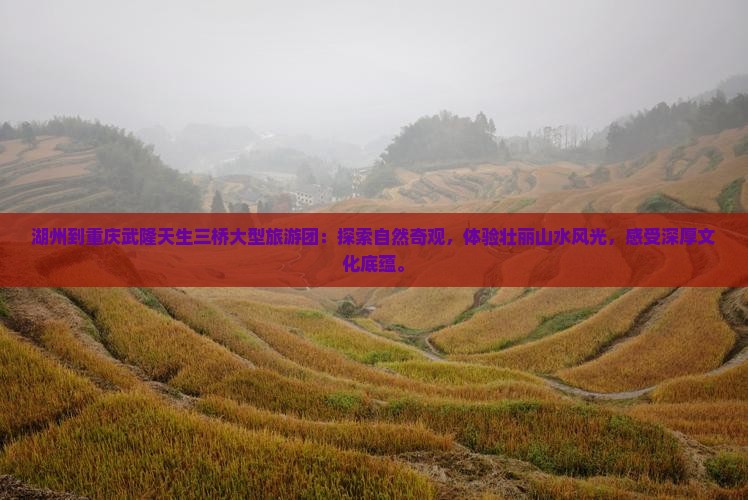 湖州到重庆武隆天生三桥大型旅游团