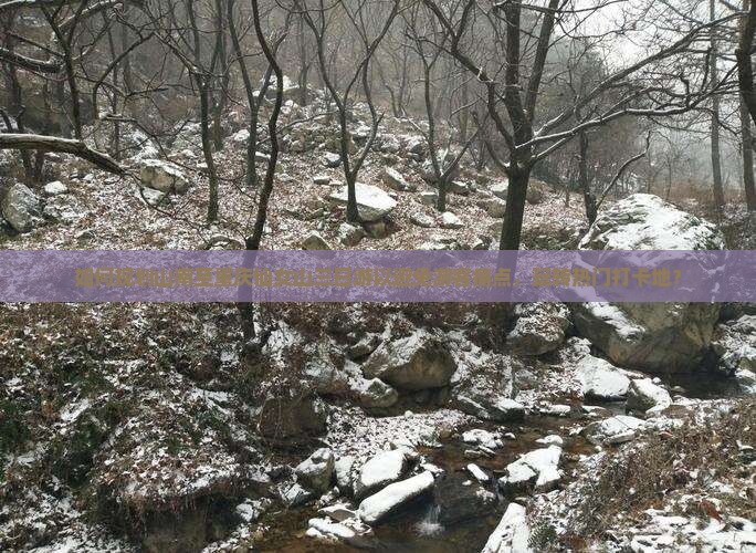 如何规划山南至重庆仙女山三日游以避免游客痛点，玩转热门打卡地？